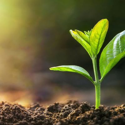 Cash Flow Confidence - How to Keep Your Small Business in the Green